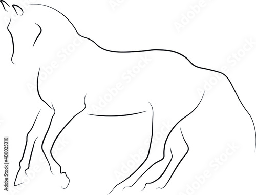 dressage horse illustration vector art