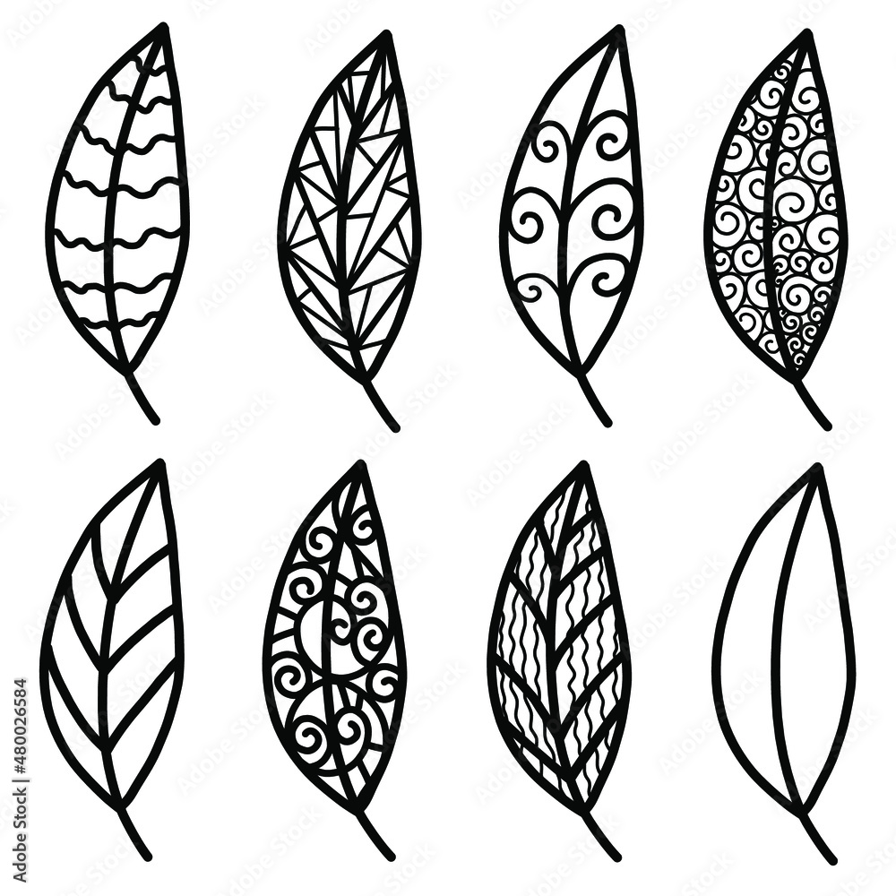 Fototapeta Set of handdrawn doodle vector leaves. Ornamental leaves