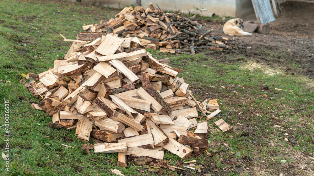Cut wood logs stored in a storage yard. This woodpile are chopped and saved to burn in a stove during winter. Cut wood logs stored in a storage yard. This woodpile are chopped and saved to burn in a stove during winter.