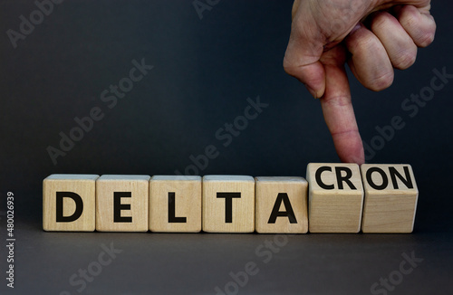 Covid-19 delta and deltacron symbol. Doctor turns cubes and changes the word delta to deltacron. Beautiful grey background. Medical, covid-19 corona delta and deltacron concept. Copy space.