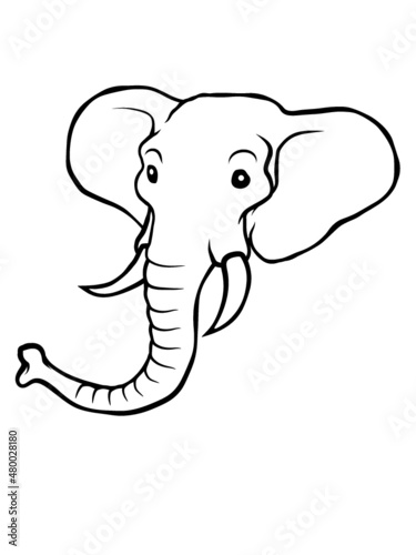 Kopf Grauer Elefant 