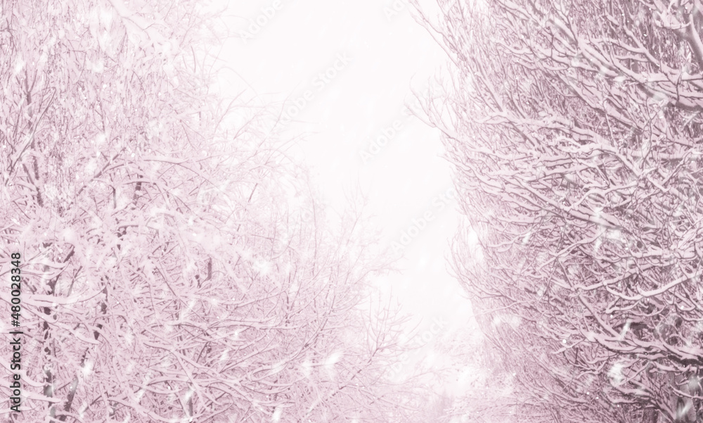 Fototapeta premium Winter landscape with snow. Background with blizzard.