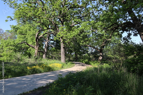 Chicago, IL Parks - Japanese Garden