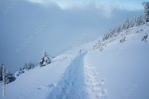 Tatra Mountains in a winter landscape. Karczmisko area.