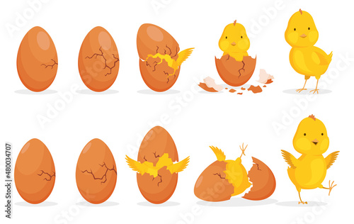 Chicken hatching from the egg. Cartoon baby chick step-by-step born process. Newborn little cute chick, small baby bird emergence from egg, cracked shell. Funny domestic animal