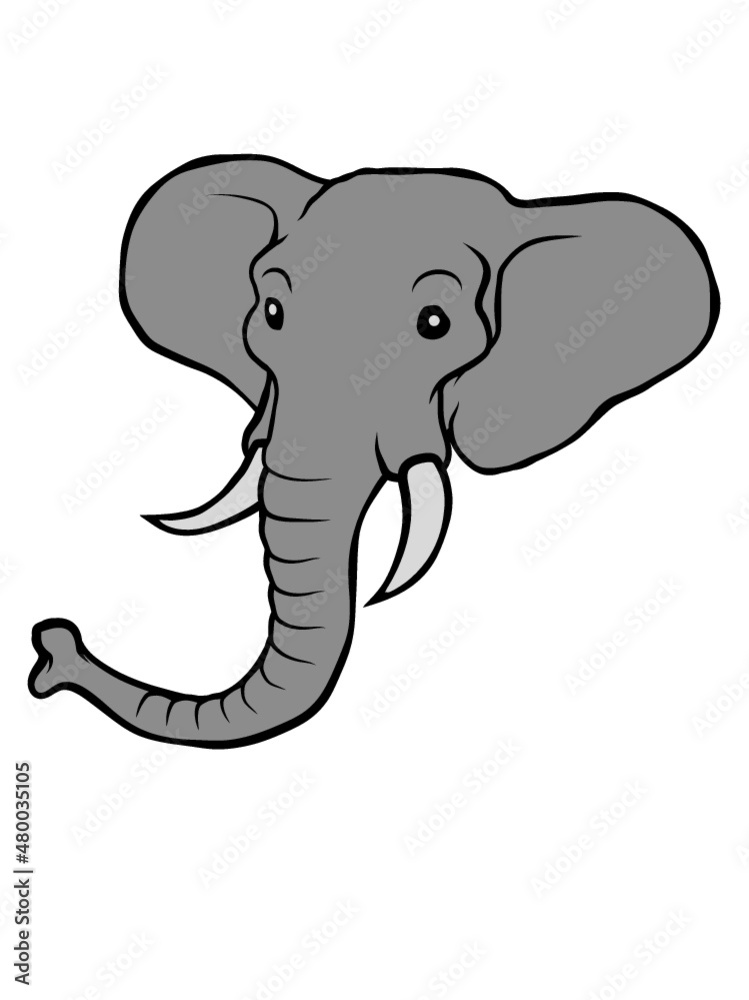 Grauer Elefant Kopf 
