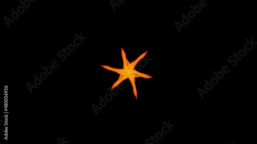 2D Cartoon FX Explosion effect