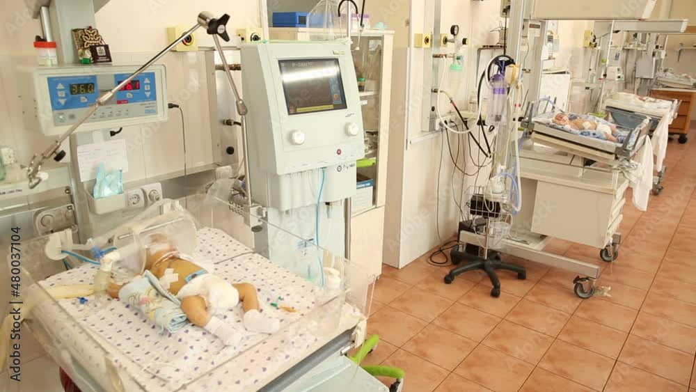 Video Stock Labour ward with incubators for babies. New born premature