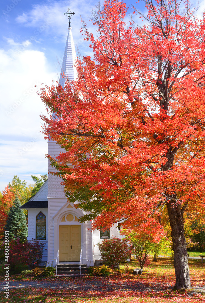 Colorful maple tree and Saint Matthews Episcopal Chapel in Sugar Hill, New Hampshire. Dedicated in 1894, the historic church building features a tall, slender steeple and old stained-glass windows.