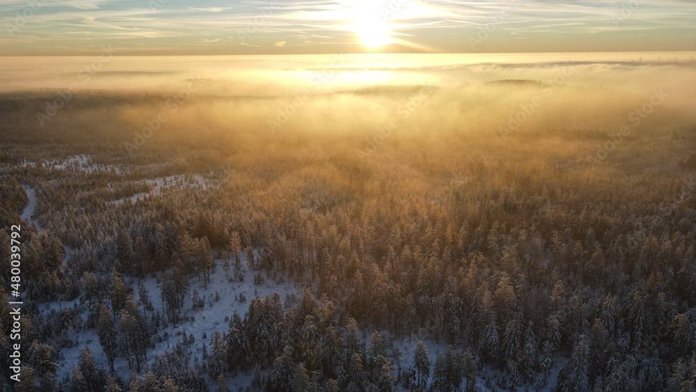 Wintersonnenaufgang bei Hochnebel im Schwarzwald Wintersonnenaufgang bei Hochnebel im Schwarzwald