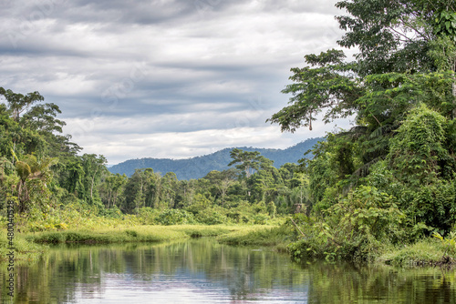 Peaceful stream in the Amazon rainforest in Manu National Park, Peru