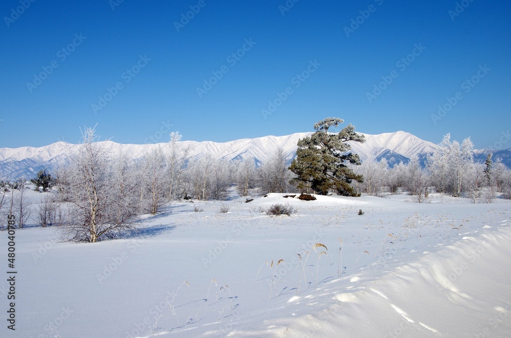 Landscape in winter in Siberia, in Russia Landscape in winter in Siberia, in Russia