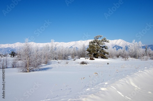 Landscape in winter in Siberia, in Russia