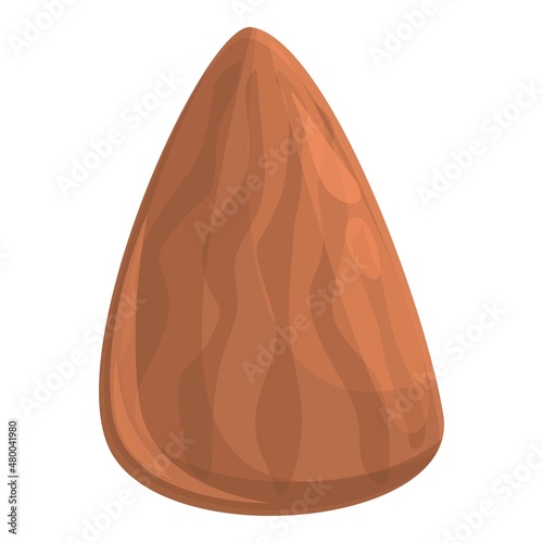 Zinc almond icon cartoon vector. Mineral food. Suplement element