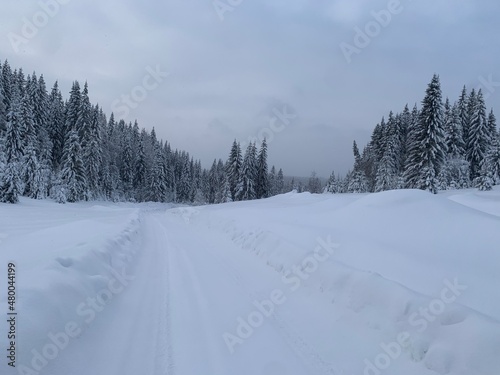 snow covered road