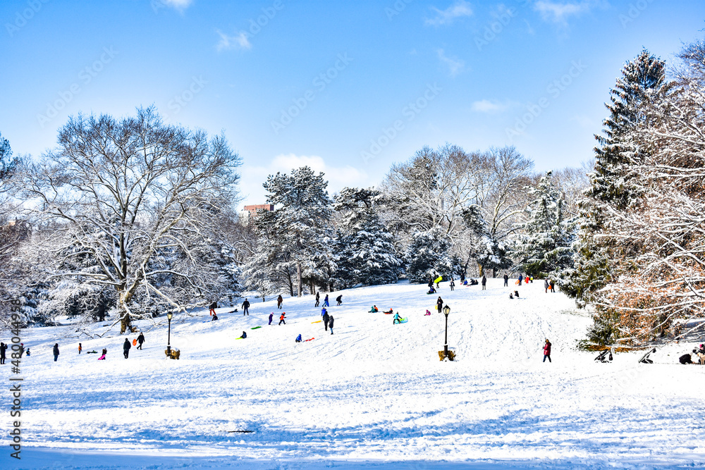 Central Park winter snowfall
