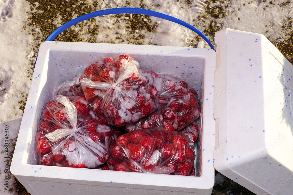 Ταπετσαρία frozen strawberries ready for transporting in a thermally insulating foam box wi