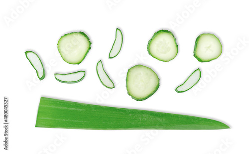 Aloe vera and cucumber slices isolated on white background, top view.