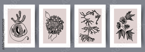 Printable wall art vector poster set.