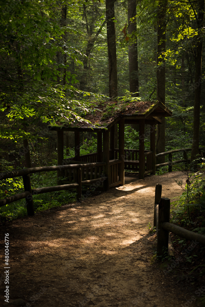 Forest Trail Hut Red River Gorge Kentucky Forest Trail Hut Red River Gorge Kentucky