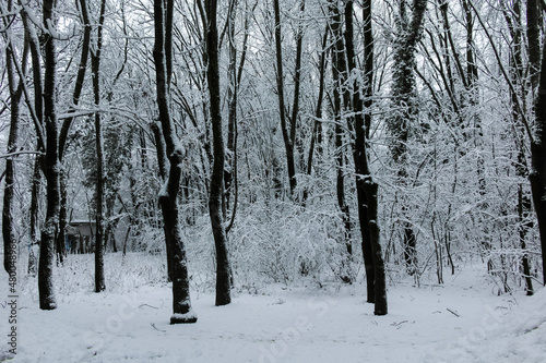 Winter landscape of South Park in city of Sofia, Bulgaria