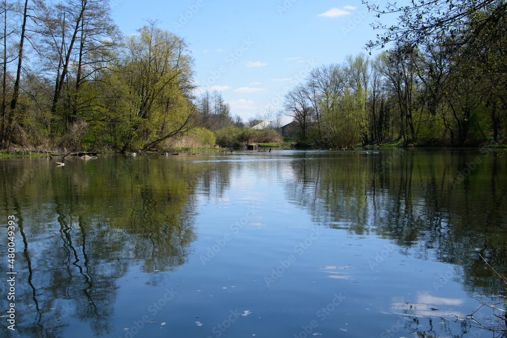 Frühling an einem Teich am Stadtrand von Bünde in Ostwestfalen. Spiegelung der Bäume mit ihrem frischen grün im Wasser. Frühling an einem Teich am Stadtrand von Bünde in Ostwestfalen. Spiegelung der Bäume mit ihrem frischen grün im Wasser.