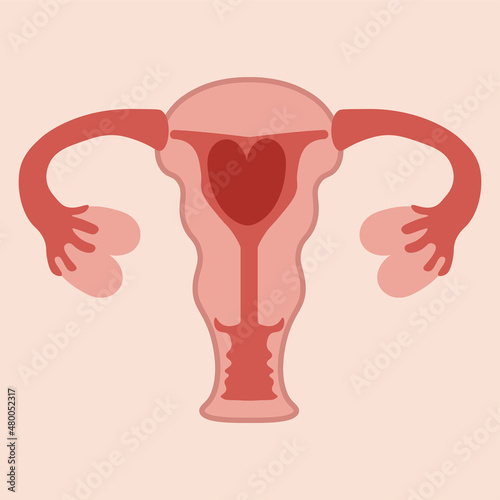 Menstruation hygiene. Female period products -uterus with menstrual blood in the form of a heart . Feminine menstrual care illustration. Menstrual period. Feminism. Gender equality. Vector graphics