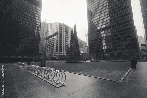 Photography black and white image of modern office buildings with a park and a christmas tre