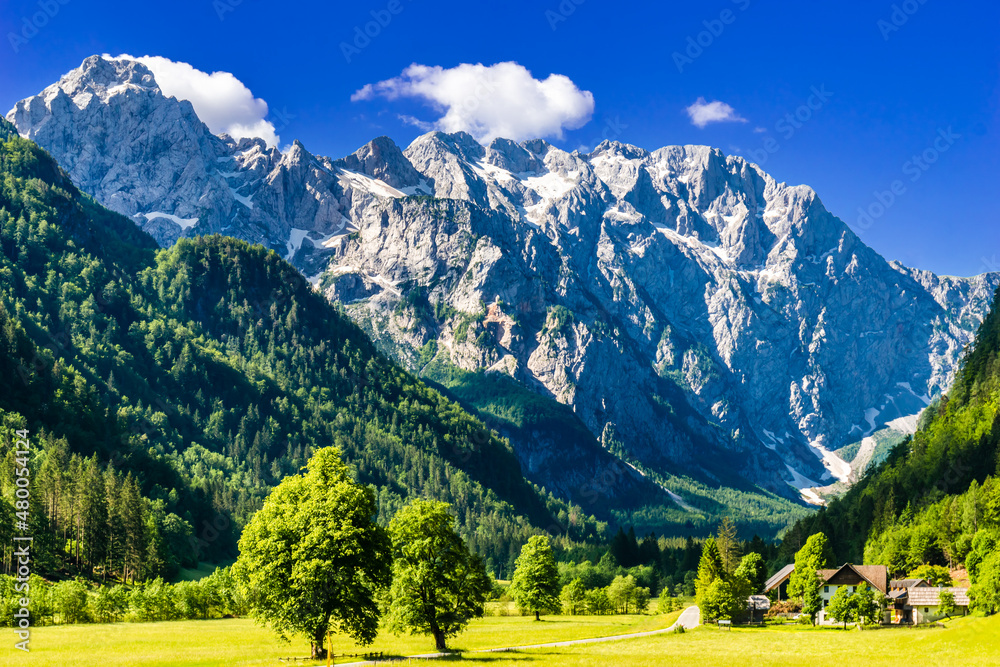 Logar valley or Logarska dolina in the Alps of Slovenia