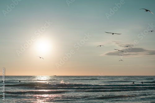 sunset beach with flying birds