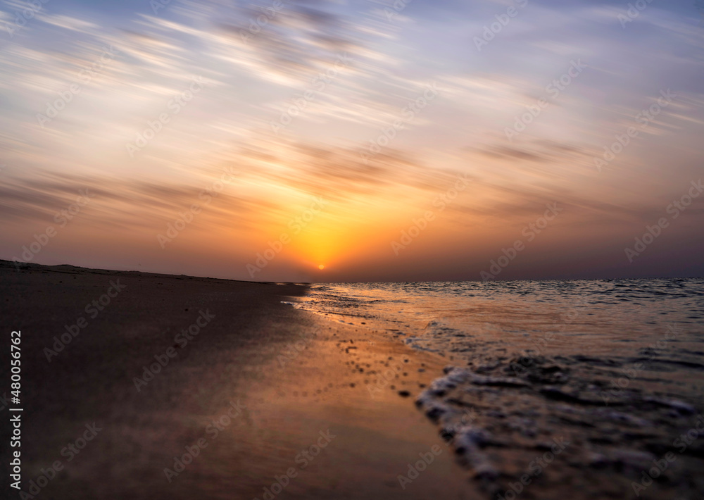 Nature in motion - Qatar Nature in motion - Qatar
