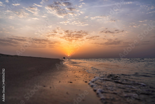 Nature is waking - Qatar