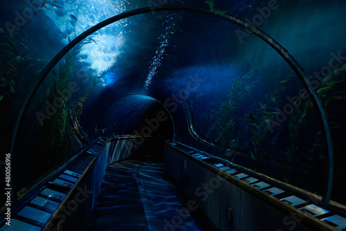 aquarium tunnel underwater