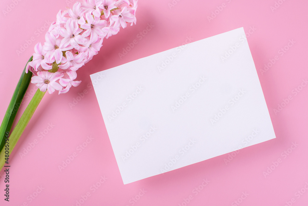Blank wedding invitation stationery card mockup on pink background with hyacinth flowers, feminine blog flat lay, top view. Minimalist mockup 5x7 ratio, similar to A6, A5