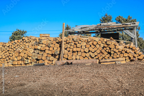  Steel fence, wood, logs, wood logs. yard, Logs Of Wood.   