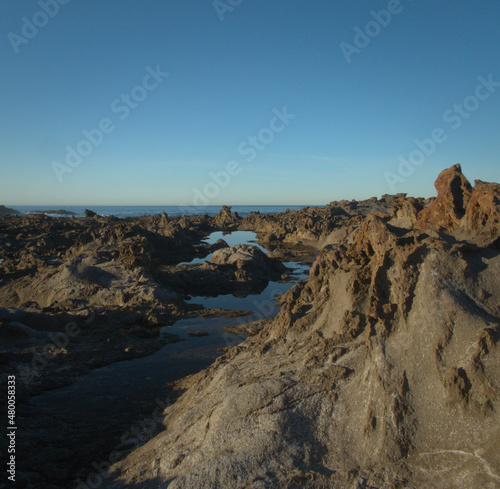 Volcanic coast at low tide