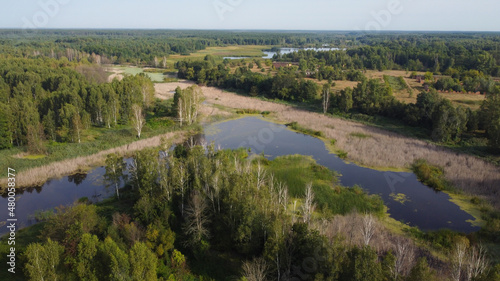 Aerial view of a lakes and forest with green trees and dry grass. Landscape scene. Ukraine