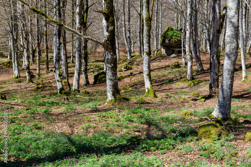 Entzia mountain range, Basque Country, Spain. photo