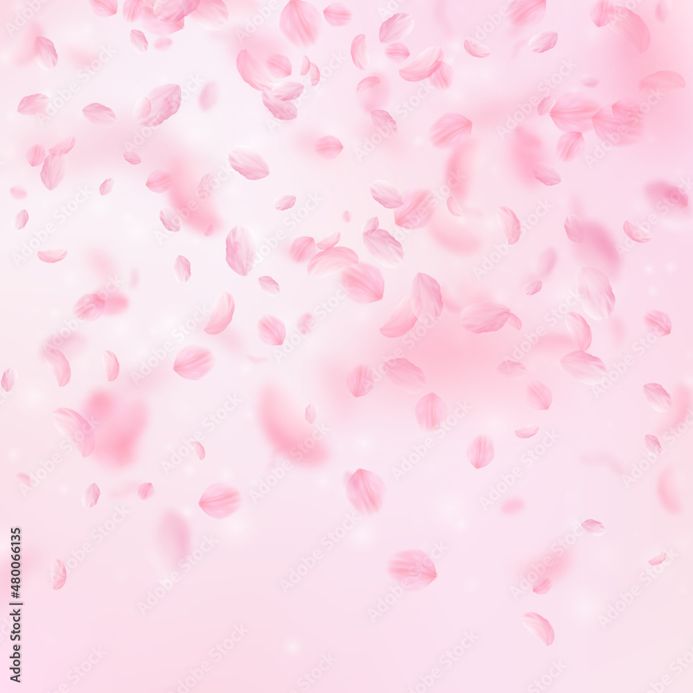 Sakura petals falling down. Romantic pink flowers gradient. Flying petals on pink square background. Love, romance concept. Bewitching wedding invitation.