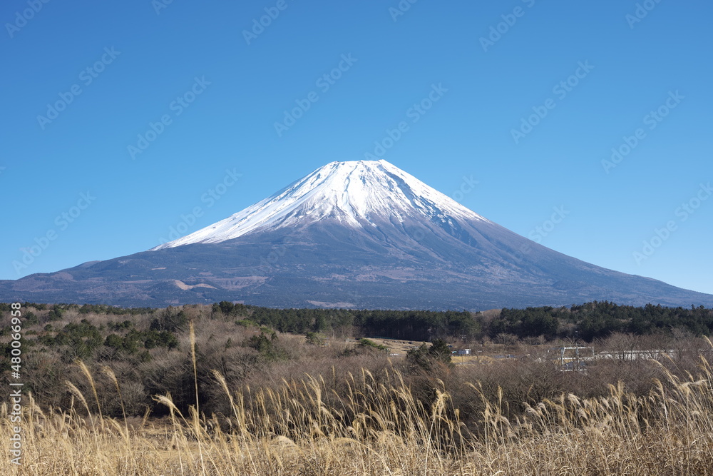 Fototapeta premium 晴れた秋の日の美しい富士山の風景