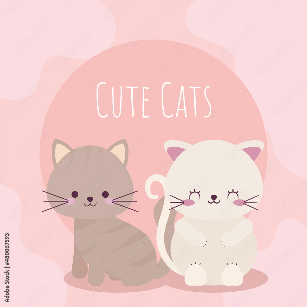 cute cats poster