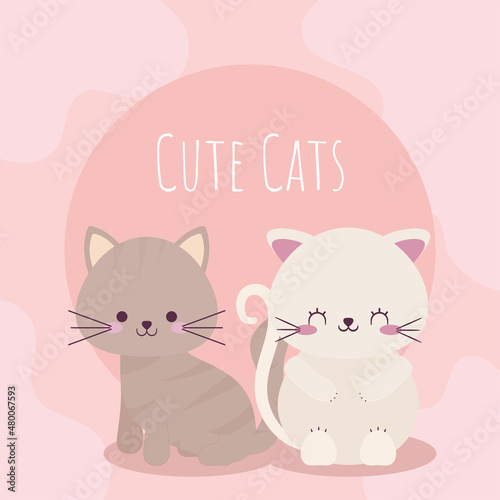 cute cats poster