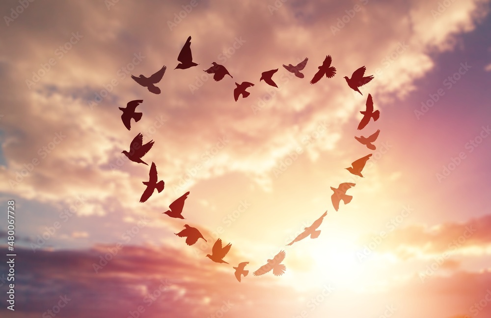 Silhouette of flying flock birds in shape heart against sky background.