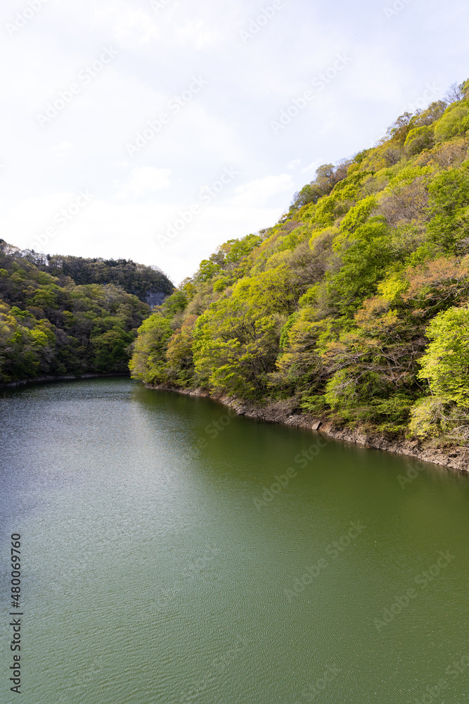 EOSR6.広島帝釈峡、深緑の水面。