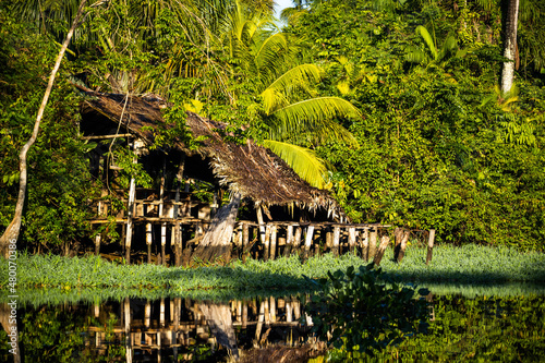 Tropical cabin in rainforest jungle with palm trees on river