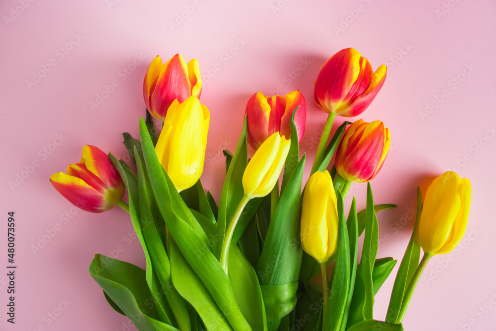 Fototapeta premium Bouquet of red and yellow tulips on pastel pink background.