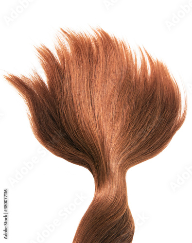 Tree made of hair , Brown red hair natural , isolated on white background , beauty
