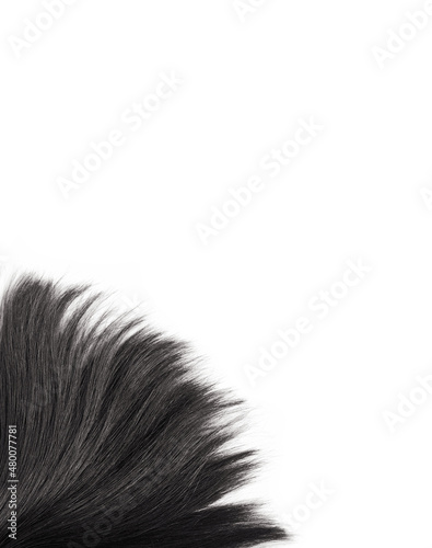 Black hair natural , isolated on white background , beauty