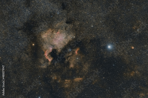 North America nebula or NGC 7000 in constellation of swan