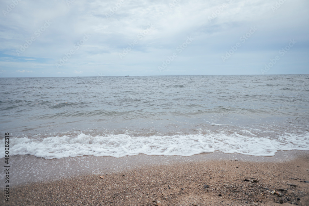 sea scape with sea wave, cloudy sky, mangrove forest and sandy beach when summer time. the photo perfect for holidays background, nature pamphlet and advertising brochure. sea scape with sea wave, cloudy sky, mangrove forest and sandy beach when summer time. the photo perfect for holidays background, nature pamphlet and advertising brochure.